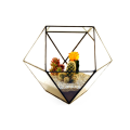 Terrário redondo de vidro quadrado geométrico transparente